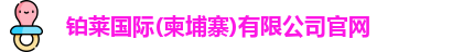铂莱国际
